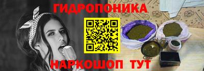 гидропоника Будённовск