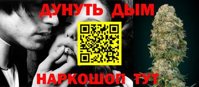 гидропоника Будённовск
