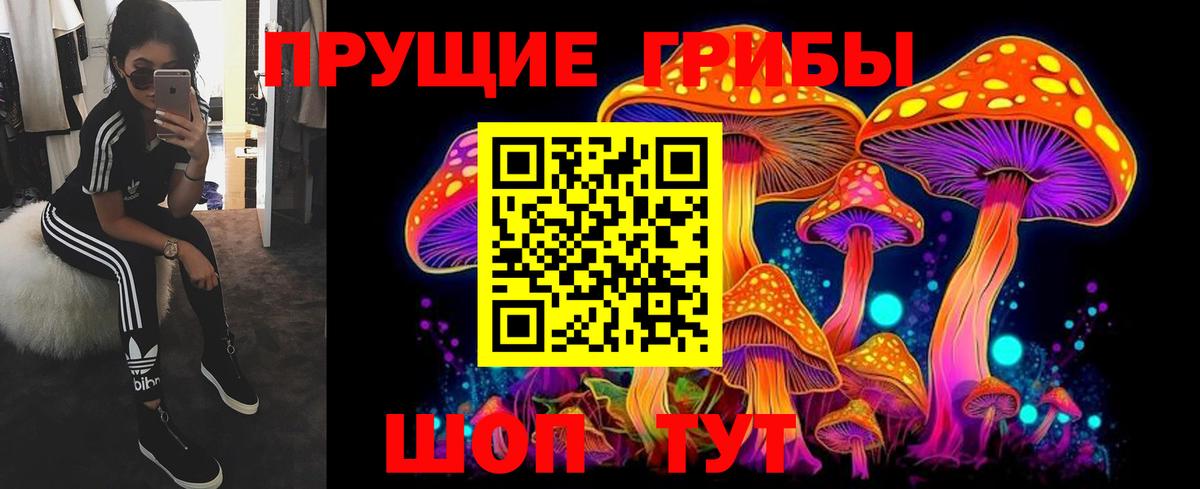 Красногорск  Галлюциногенные грибы MAGIC MUSHROOMS  Вход с VPN  Псилоцибиновые грибы мухоморы 